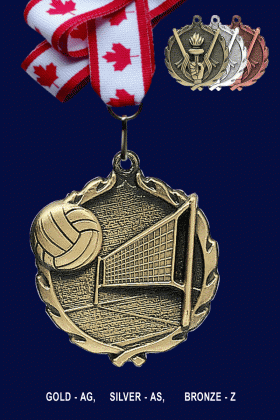 Volleyball, Medal – 2.5”
