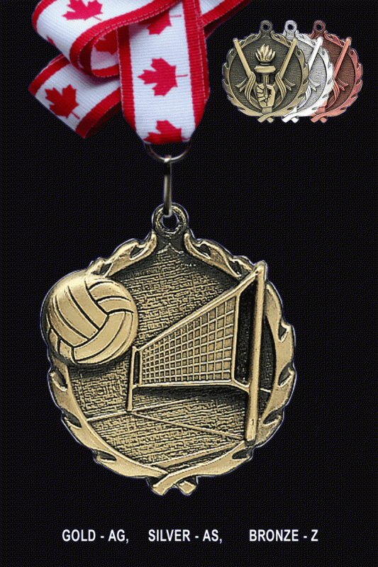 Volleyball, Medal – 2.5” - Click Image to Close