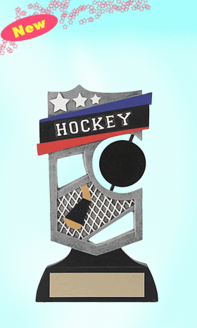 Hockey Puck Spinning – 6”