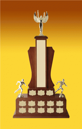 Simply The Best - Annual Trophy - 27”