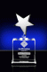 Action Star Award – 7”