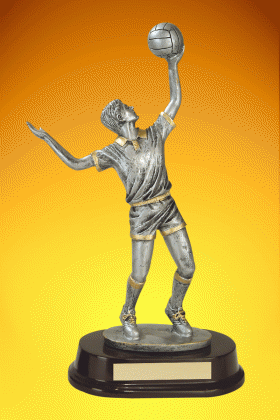 Volleyball, Male Trophy – 11”