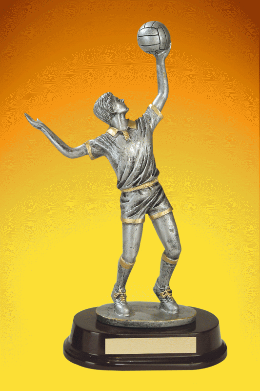 Volleyball, Male Trophy – 11” - Click Image to Close