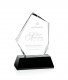 Buddington, Award – 9.5”