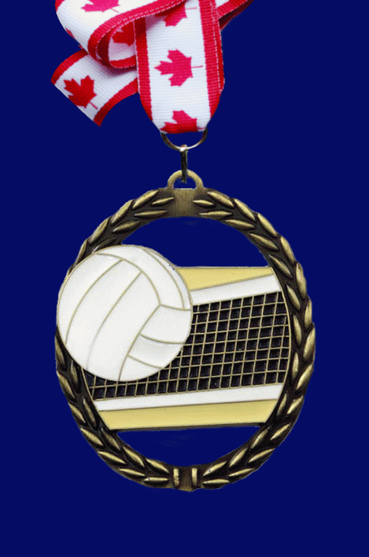 Volleyball - 2 3/8" - Click Image to Close