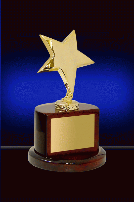 Brass & Rosw. Star Award – 8” - Click Image to Close