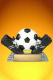 Soccer, Trophy – 4”