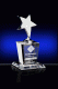 Star Bright II. Award – 7.5”