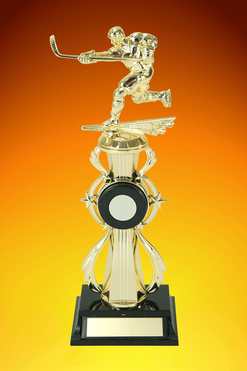 Hockey, Male, Trophy – 12.5”